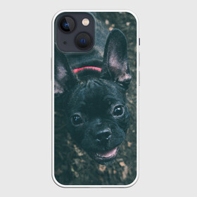 Чехол для iPhone 13 mini с принтом Бульдог морда собакена черного ,  |  | бульдог | гав | глаза | любимец | любителю животных | ошейник | пес | песель | песик | питомец | псина | псинка | собака | собакен | собачка | собачник | уши | черный | язык