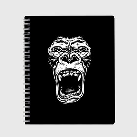 Тетрадь с принтом Face of gorilla , 100% бумага | 48 листов, плотность листов — 60 г/м2, плотность картонной обложки — 250 г/м2. Листы скреплены сбоку удобной пружинной спиралью. Уголки страниц и обложки скругленные. Цвет линий — светло-серый
 | арт | горилла | животные | звери | картинка | лицо гориллы | обезьяна | рисунок