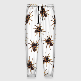 Мужские брюки 3D с принтом В пауках , 100% полиэстер | манжеты по низу, эластичный пояс регулируется шнурком, по бокам два кармана без застежек, внутренняя часть кармана из мелкой сетки | pattern | spider | джунгли | дикие | животные | жуки | звери | лапы | мерзкие | монстр | насекомые | паттерн | паук | пауки | паутина | паучок | птицеед | страшный | существа | тараканы | тарантул | тропики
