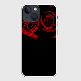 Чехол для iPhone 13 mini с принтом Готика ,  |  | black | flowers | red | rose | rozario | vampire | алые | бутоны | вампир | винтаж | готический | красныерозы | кровь | лепестки | летний | лето | ночь | природа | растения | роза | розочка | розы | рок | темный | узор