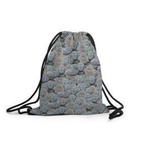Рюкзак-мешок 3D с принтом Каменные лица 3D МЕМ 2020 , 100% полиэстер | плотность ткани — 200 г/м2, размер — 35 х 45 см; лямки — толстые шнурки, застежка на шнуровке, без карманов и подкладки | my stone. | каменные лица | камни с человеческими лицами | мем