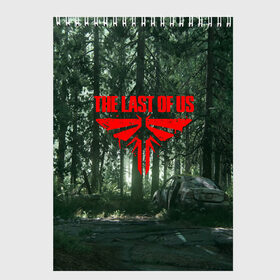 Скетчбук с принтом The Last of Us Part 2 , 100% бумага
 | 48 листов, плотность листов — 100 г/м2, плотность картонной обложки — 250 г/м2. Листы скреплены сверху удобной пружинной спиралью | cicadas | fireflies | naughty dog | the last of us | the last of us part 2 | джоэл | последние из нас | цикады | элли