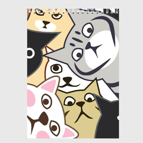 Скетчбук с принтом Котики Шпионы , 100% бумага
 | 48 листов, плотность листов — 100 г/м2, плотность картонной обложки — 250 г/м2. Листы скреплены сверху удобной пружинной спиралью | anime | art | casual | cat | cats | cute | funny | kawaii | kitty | meme | memes | pussy | selfie | аниме | арт | животные | каваи | кавай | кот | коте | котик | котики | коты | кошка | кэжуал | мем | мемы | милота | приколы | прикольные | се