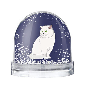 Снежный шар с принтом Белый британский котик , Пластик | Изображение внутри шара печатается на глянцевой фотобумаге с двух сторон | cat | cute | kitten | meow | британец | британский | взгляд | друзья | животные | зверек | зверюшки | каваи | киска | котенок | котик | коты | котята | кошак | кошечки | кошки | лапы | милые | мордочка | мяу | няшные