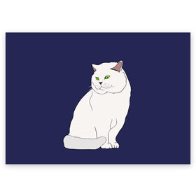 Поздравительная открытка с принтом Белый британский котик , 100% бумага | плотность бумаги 280 г/м2, матовая, на обратной стороне линовка и место для марки
 | Тематика изображения на принте: cat | cute | kitten | meow | британец | британский | взгляд | друзья | животные | зверек | зверюшки | каваи | киска | котенок | котик | коты | котята | кошак | кошечки | кошки | лапы | милые | мордочка | мяу | няшные