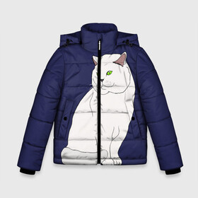 Зимняя куртка для мальчиков 3D с принтом Белый британский котик , ткань верха — 100% полиэстер; подклад — 100% полиэстер, утеплитель — 100% полиэстер | длина ниже бедра, удлиненная спинка, воротник стойка и отстегивающийся капюшон. Есть боковые карманы с листочкой на кнопках, утяжки по низу изделия и внутренний карман на молнии. 

Предусмотрены светоотражающий принт на спинке, радужный светоотражающий элемент на пуллере молнии и на резинке для утяжки | cat | cute | kitten | meow | британец | британский | взгляд | друзья | животные | зверек | зверюшки | каваи | киска | котенок | котик | коты | котята | кошак | кошечки | кошки | лапы | милые | мордочка | мяу | няшные