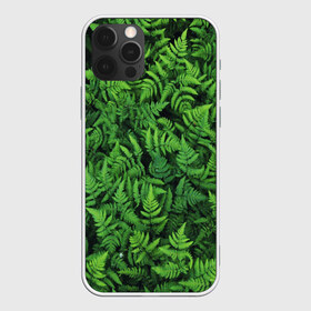 Чехол для iPhone 12 Pro Max с принтом ПАПОРОТНИК , Силикон |  | summer | tropic | жара | летний | лето | отдых | пальмы | природа | текстура | тропикано | тропики