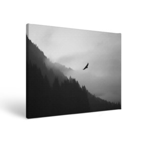 Холст прямоугольный с принтом ОРЁЛ НАД ЛЕСОМ , 100% ПВХ |  | bird | dark | fog | forest | heaven | jh k | ktc | sky | texture | деревья | животные | лес | небо | орел | природа | птица | птицы | текстуры | тёмный лес | туман