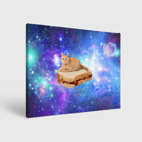Холст прямоугольный с принтом Кот в космосе , 100% ПВХ |  | Тематика изображения на принте: cat | cats | space | бутерброд | грозовой кошак | джем | киса | киска | космос | кошак | кошка