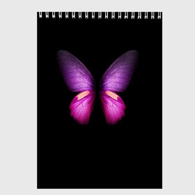 Скетчбук с принтом Butterfly , 100% бумага
 | 48 листов, плотность листов — 100 г/м2, плотность картонной обложки — 250 г/м2. Листы скреплены сверху удобной пружинной спиралью | butterfly | арт | бабочка | крылья | насекомые | фауна