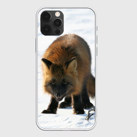 Чехол для iPhone 12 Pro Max с принтом Лиса , Силикон |  | животное | животные | звери | зверь | зима | зимний | зимы | лис | лиса | лисы | природа | снег | снега | фауна | хищник | хищники