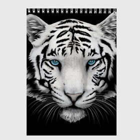 Скетчбук с принтом тигр , 100% бумага
 | 48 листов, плотность листов — 100 г/м2, плотность картонной обложки — 250 г/м2. Листы скреплены сверху удобной пружинной спиралью | белый тигр | тигр
