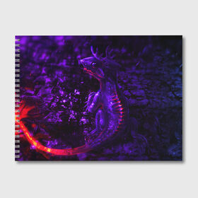 Альбом для рисования с принтом Энергия Лавы , 100% бумага
 | матовая бумага, плотность 200 мг. | Тематика изображения на принте: drag | dragon | арт | динамическое | динозавр | дракон | красивое | фантастика