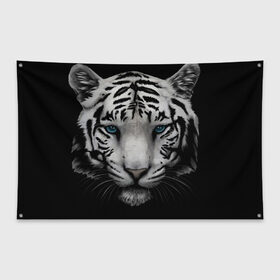 Флаг-баннер с принтом Белый Тигр , 100% полиэстер | размер 67 х 109 см, плотность ткани — 95 г/м2; по краям флага есть четыре люверса для крепления | tiger | животное | тигр | тигрица | чернобелый