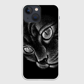 Чехол для iPhone 13 mini с принтом Волшебный кот ,  |  | black | cat | eyes | kitten | kitty | pussy | pussycat | взгляд | глаз | глаза | кот | кота | котенок | коты | котят | котята | котячьи | кошачьи | кошка | кошки | мордочка | нос | носик | с котом | усатый | усики | усища | усищи | че