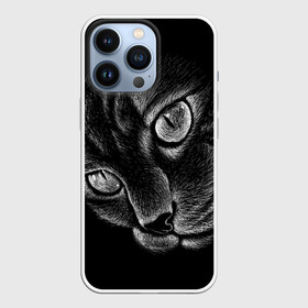 Чехол для iPhone 13 Pro с принтом Волшебный кот ,  |  | black | cat | eyes | kitten | kitty | pussy | pussycat | взгляд | глаз | глаза | кот | кота | котенок | коты | котят | котята | котячьи | кошачьи | кошка | кошки | мордочка | нос | носик | с котом | усатый | усики | усища | усищи | че