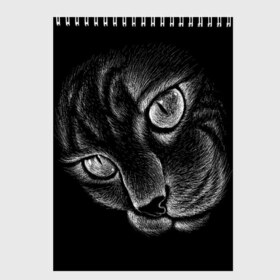 Скетчбук с принтом Волшебный кот , 100% бумага
 | 48 листов, плотность листов — 100 г/м2, плотность картонной обложки — 250 г/м2. Листы скреплены сверху удобной пружинной спиралью | Тематика изображения на принте: black | cat | eyes | kitten | kitty | pussy | pussycat | взгляд | глаз | глаза | кот | кота | котенок | коты | котят | котята | котячьи | кошачьи | кошка | кошки | мордочка | нос | носик | с котом | усатый | усики | усища | усищи | че