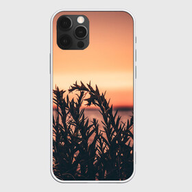 Чехол для iPhone 12 Pro Max с принтом Трава растение закат силуэт , Силикон |  | Тематика изображения на принте: закат | кусты | лето | на каждый день | природа | рассвет | растение | свет | силуэт