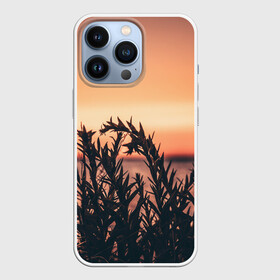 Чехол для iPhone 13 Pro с принтом Трава растение закат силуэт ,  |  | Тематика изображения на принте: закат | кусты | лето | на каждый день | природа | рассвет | растение | свет | силуэт