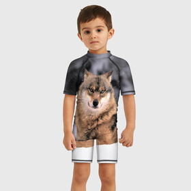 Детский купальный костюм 3D с принтом Wolf | Волк , Полиэстер 85%, Спандекс 15% | застежка на молнии на спине | wolf | wolfs | волк | волки | волчара