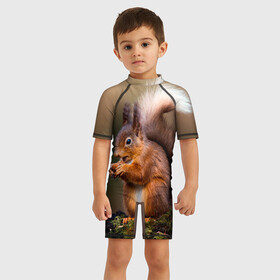 Детский купальный костюм 3D с принтом Белка , Полиэстер 85%, Спандекс 15% | застежка на молнии на спине | белка | белки | белочка | животные | природа