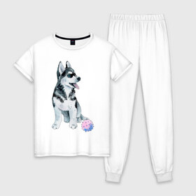 Женская пижама хлопок с принтом Хаски , 100% хлопок | брюки и футболка прямого кроя, без карманов, на брюках мягкая резинка на поясе и по низу штанин | животные | песокафе | рисунок | собаки | хаски