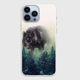 Чехол для iPhone 13 Pro Max с принтом Волк ,  |  | Тематика изображения на принте: альфа | амега | волк | волчонок | дым | зверь | зелёная | зима | красивая | лайка | лес | лесс | омега | пёс | подарок | прикольная | сибирь | сказка | собака | сосны | тайга | фильм | хаски | щенок