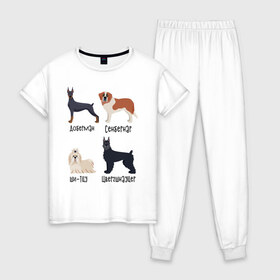Женская пижама хлопок с принтом доберман ши-тцу , 100% хлопок | брюки и футболка прямого кроя, без карманов, на брюках мягкая резинка на поясе и по низу штанин | Тематика изображения на принте: доберман | песокафе | сенбернар | собаки | ши тцу