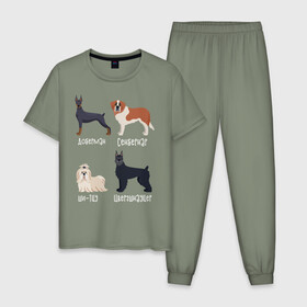 Мужская пижама хлопок с принтом доберман ши-тцу белый , 100% хлопок | брюки и футболка прямого кроя, без карманов, на брюках мягкая резинка на поясе и по низу штанин
 | Тематика изображения на принте: доберман | песокафе | сенбернар | собаки | ши тцу