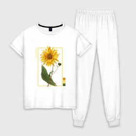 Женская пижама хлопок с принтом Blossom Flower , 100% хлопок | брюки и футболка прямого кроя, без карманов, на брюках мягкая резинка на поясе и по низу штанин | flowers | букет | природа | растения | ретро | цветок | цветы