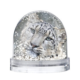 Снежный шар с принтом Ирбис , Пластик | Изображение внутри шара печатается на глянцевой фотобумаге с двух сторон | snow leopard | барс | барсы | животное | животные | звери | зверь | зима | зимы | ирбис | киски | кот | коты | кошачьи | кошка | кошки | мохнатые | мохнатый | пятнистые | пятнистый | снег | снежный