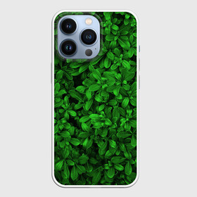 Чехол для iPhone 13 Pro с принтом Свежая трава ,  |  | Тематика изображения на принте: арт | зелёный | светлый | тёмный | четкий