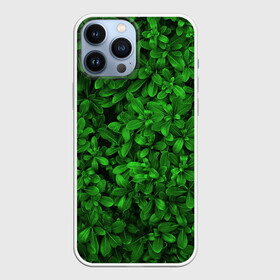 Чехол для iPhone 13 Pro Max с принтом Свежая трава ,  |  | арт | зелёный | светлый | тёмный | четкий