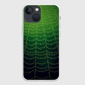 Чехол для iPhone 13 mini с принтом Паутина в лесу ,  |  | бусины | зеленый | капли | капли воды | лестница | паутина | раса