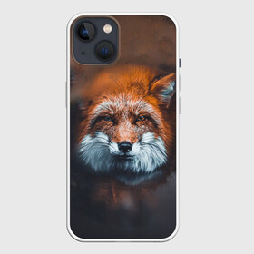 Чехол для iPhone 13 с принтом Лиса ,  |  | волк | енот | енотик | зверь | зоопарк | колобок | лес | лис | лиса | лисёнок | лисица | лисы | мультик | пёс | писец | сибирь | сказка | собака | тайга