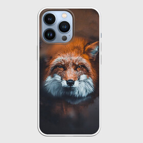 Чехол для iPhone 13 Pro с принтом Лиса ,  |  | Тематика изображения на принте: волк | енот | енотик | зверь | зоопарк | колобок | лес | лис | лиса | лисёнок | лисица | лисы | мультик | пёс | писец | сибирь | сказка | собака | тайга