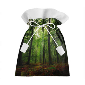 Подарочный 3D мешок с принтом Лес , 100% полиэстер | Размер: 29*39 см | Тематика изображения на принте: деревья | земля . | лес | листья | лучи