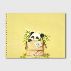 Альбом для рисования с принтом Заказывали Панду? ? , 100% бумага
 | матовая бумага, плотность 200 мг. | Тематика изображения на принте: order | panda | заказ | заказывали панду | панда | панда в коробке