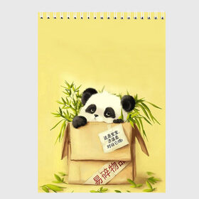Скетчбук с принтом Заказывали Панду? ? , 100% бумага
 | 48 листов, плотность листов — 100 г/м2, плотность картонной обложки — 250 г/м2. Листы скреплены сверху удобной пружинной спиралью | Тематика изображения на принте: order | panda | заказ | заказывали панду | панда | панда в коробке