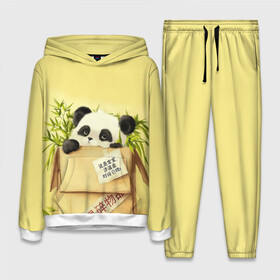 Женский костюм 3D (с толстовкой) с принтом Заказывали Панду ,  |  | order | panda | заказ | заказывали панду | панда | панда в коробке