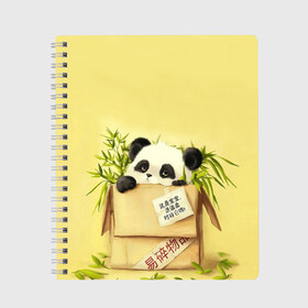 Тетрадь с принтом Заказывали Панду? ? , 100% бумага | 48 листов, плотность листов — 60 г/м2, плотность картонной обложки — 250 г/м2. Листы скреплены сбоку удобной пружинной спиралью. Уголки страниц и обложки скругленные. Цвет линий — светло-серый
 | Тематика изображения на принте: order | panda | заказ | заказывали панду | панда | панда в коробке