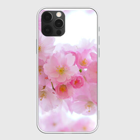 Чехол для iPhone 12 Pro Max с принтом Сакура , Силикон |  | Тематика изображения на принте: красивые | лето | летоахлето | летовернись | летожара | летонеуходи | летоцветы | леточко | любовь | много | много цветов | насекомые | радость | сакура | цветы