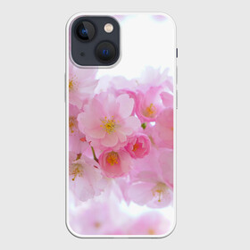 Чехол для iPhone 13 mini с принтом Сакура ,  |  | Тематика изображения на принте: красивые | лето | летоахлето | летовернись | летожара | летонеуходи | летоцветы | леточко | любовь | много | много цветов | насекомые | радость | сакура | цветы