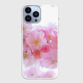 Чехол для iPhone 13 Pro Max с принтом Сакура ,  |  | Тематика изображения на принте: красивые | лето | летоахлето | летовернись | летожара | летонеуходи | летоцветы | леточко | любовь | много | много цветов | насекомые | радость | сакура | цветы