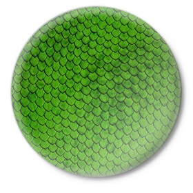 Значок с принтом зелёная чешуя  ,  металл | круглая форма, металлическая застежка в виде булавки | Тематика изображения на принте: чешуя | чешуя ящерицы