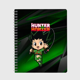 Тетрадь с принтом Гон Фрикс Hunter x Hunter , 100% бумага | 48 листов, плотность листов — 60 г/м2, плотность картонной обложки — 250 г/м2. Листы скреплены сбоку удобной пружинной спиралью. Уголки страниц и обложки скругленные. Цвет линий — светло-серый
 | 