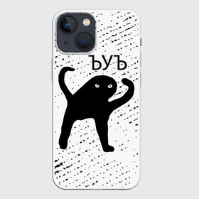 Чехол для iPhone 13 mini с принтом ЪУЪ СЪУКА ,  |  | mem | meme | memes | кот | котик | коты | кошка | кошки | мем | мемы | прикол | приколы | съука | ъуъ