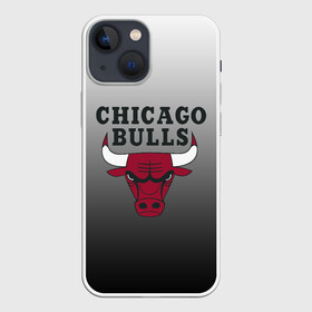 Чехол для iPhone 13 mini с принтом JORDAN   CHICAGO BULLS ,  |  | basketball | jordan | michael | michael jordan | баскетбол | джордан | майкл | стиль