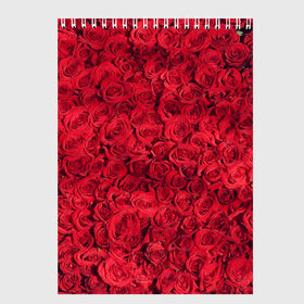 Скетчбук с принтом Розы , 100% бумага
 | 48 листов, плотность листов — 100 г/м2, плотность картонной обложки — 250 г/м2. Листы скреплены сверху удобной пружинной спиралью | красная | красное | красные | красный | лепестки | природа | растение | растения | роза | розочки | розы | флора | цветок | цветочки | цветы