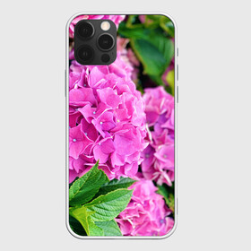 Чехол для iPhone 12 Pro Max с принтом Гортензия , Силикон |  | blooming. | floral | flower | hydrangea | nature | ботаника | букет | бутон | гортензия | клумба | лепесток | лето | листья | сад | цветение | цветок | цветы